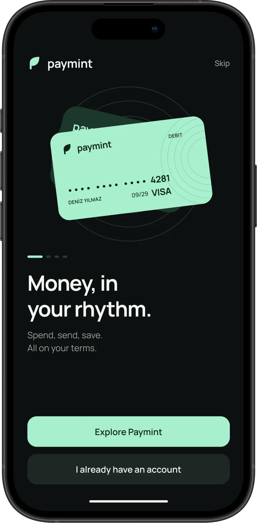 Paymint screen