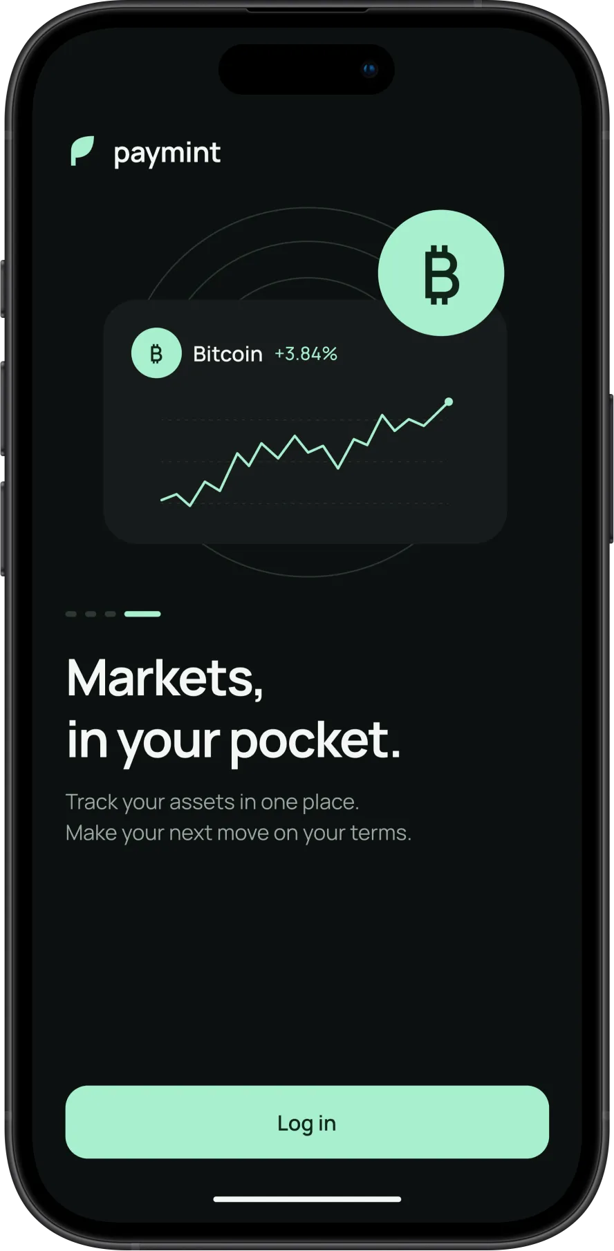Paymint screen
