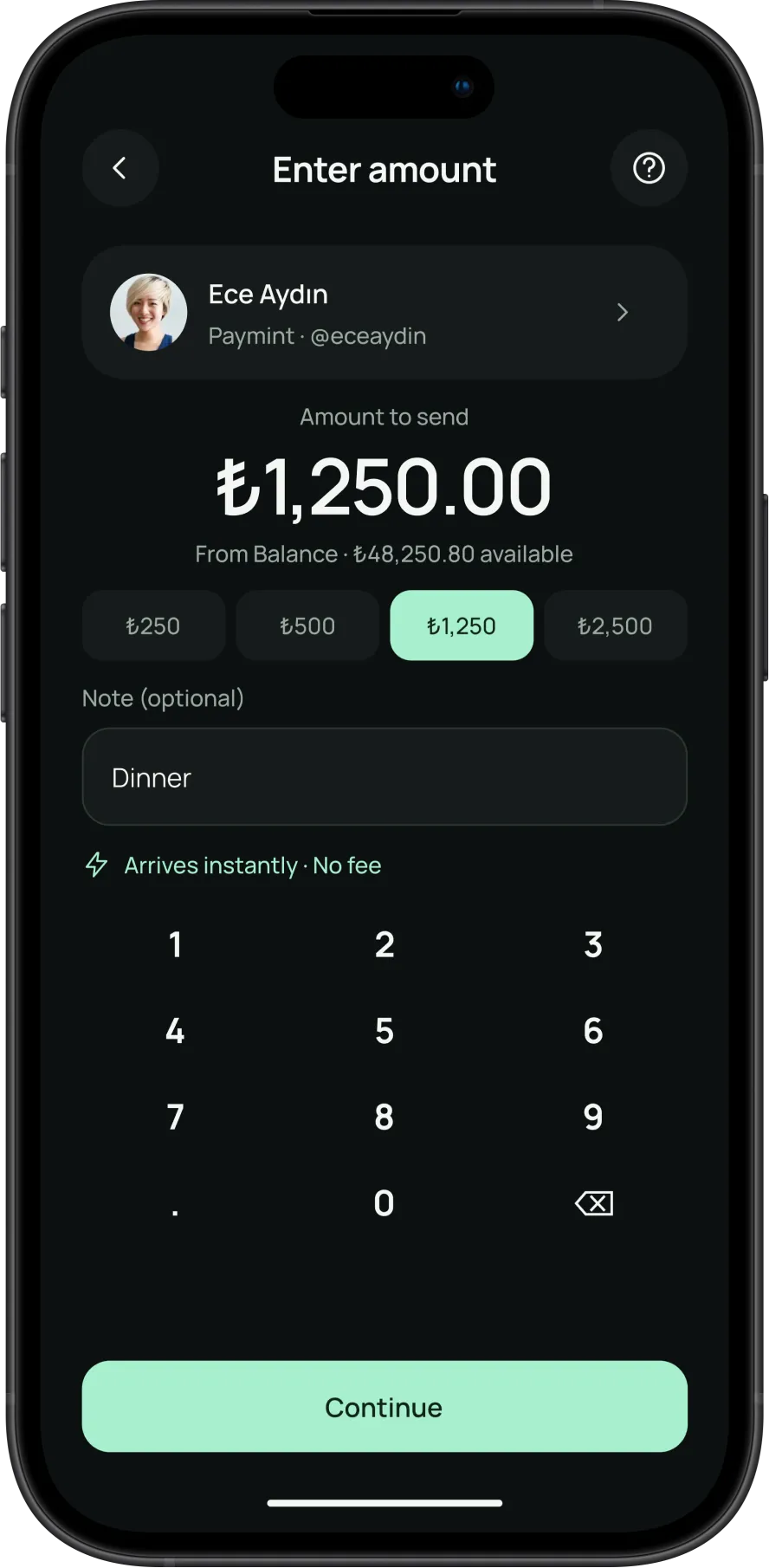Paymint screen