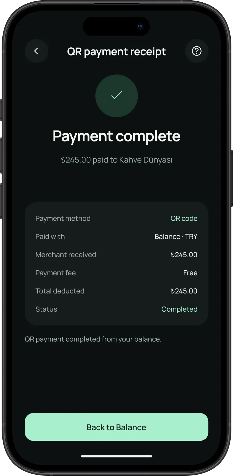 Paymint screen