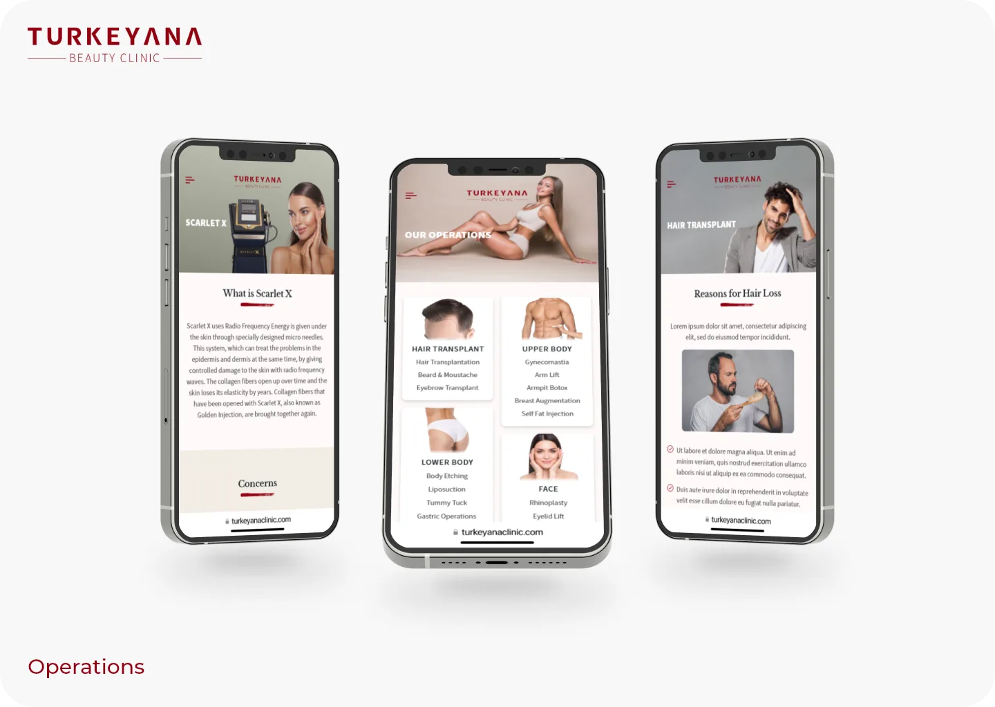 Turkeyana Redesign screen