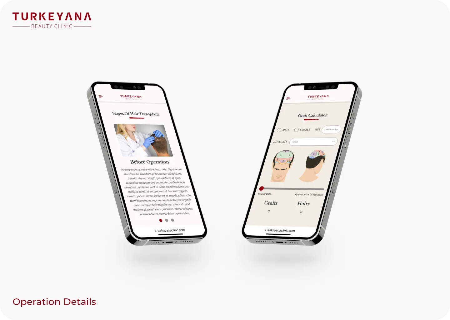 Turkeyana Redesign screen